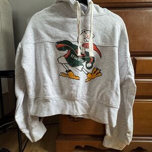 Gray University of Miami Hoodie with Mascot Graphic